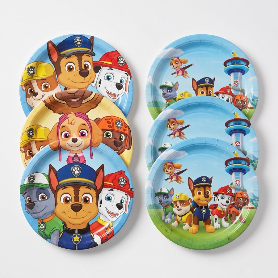 Paw Patrol themed party plates, in stock in store